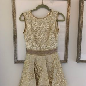 Nicole Miller V-Back Flare Dress